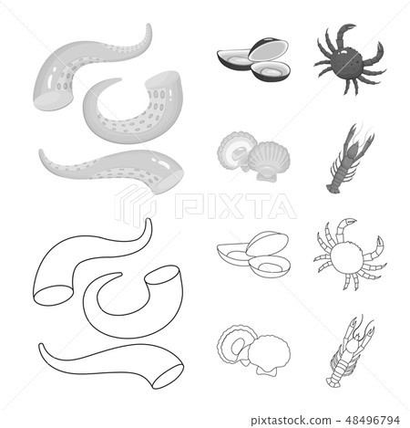 Vector design of fresh and restaurant logo. Set of fresh and marine stock symbol for web. Vector design of fresh and restaurant logo. Set of fresh and marine stock symbol for web. 48496794