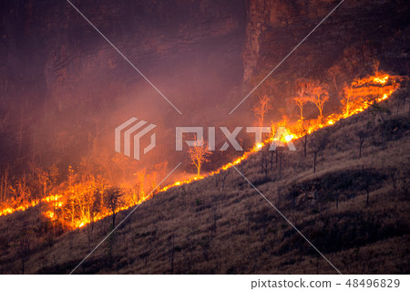 Forest fire on mountains. Forest fire on mountains. 48496829