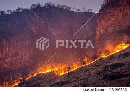 Forest fire on mountains. Forest fire on mountains. 48496830