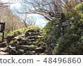 Unzendake mountain climbing road (Onimatsu Taniguchi) 48496860