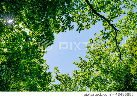 Nature image Nature image 48496895