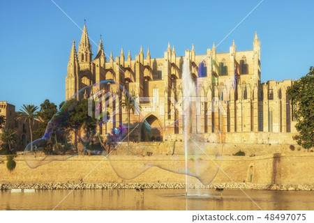 Ancient Cathedral in Palma de Mallorca 48497075