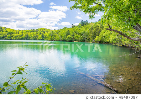 New green onnato 48497087