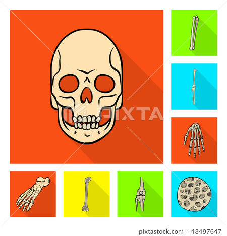 Isolated object of bone and skeleton sign. Set of bone and human vector icon for stock. Isolated object of bone and skeleton sign. Set of bone and human vector icon for stock. 48497647