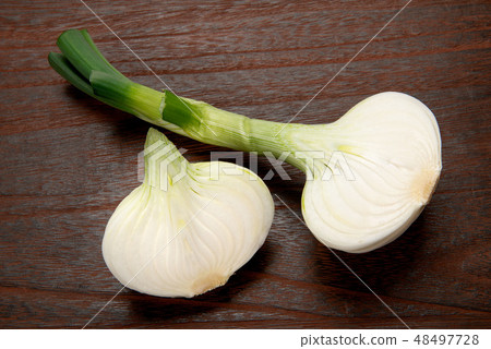 Salad onion Salad onion 48497728