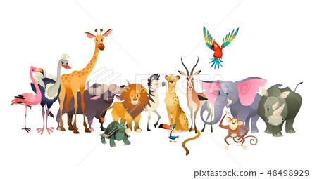 Wild animals. Safari wildlife africa happy animal lion zebra elephant rhino parrot giraffe ostrich 48498929