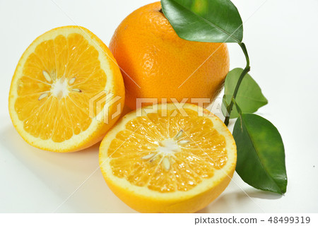 夏季橙色 48499319