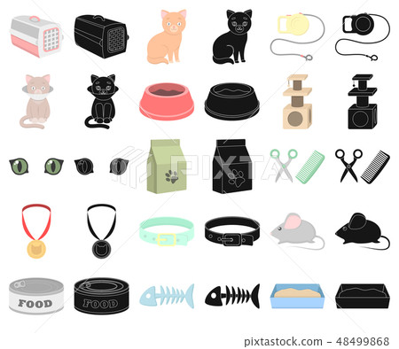 An animal cat cartoon,black icons in set collection for design. Caring for a cat vector symbol stock 48499868