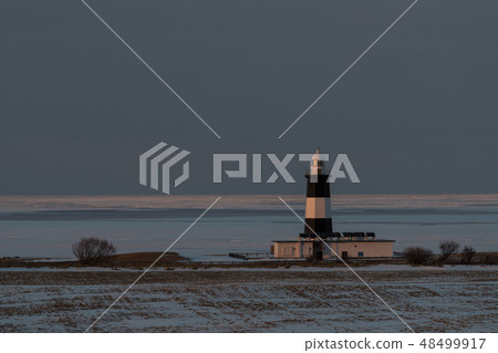 Nogi Cape燈塔和漂流冰 48499917