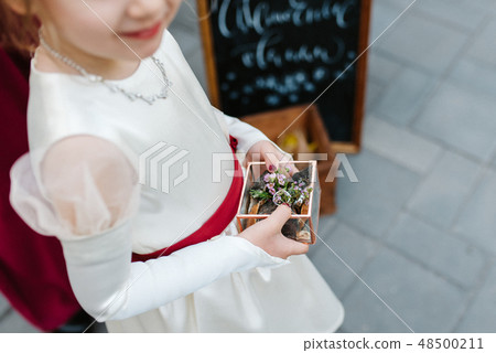 wedding rings 48500211