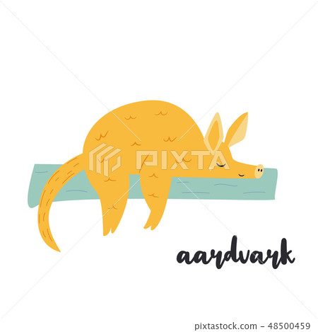 Cute orange aardvark on white background Cute orange aardvark on white background 48500459
