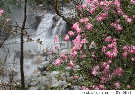 台灣北投溫泉瀑布 48500651