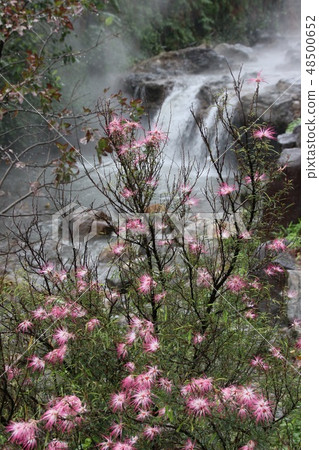 台灣北投溫泉在雨中冒煙 台灣北投溫泉在雨中冒煙 48500652