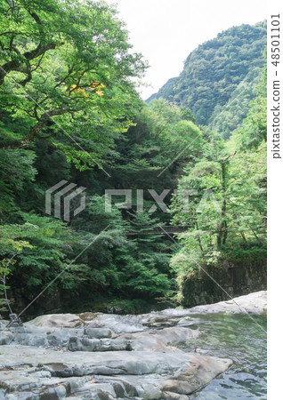 御手洗谷瀑布和吊橋 48501101