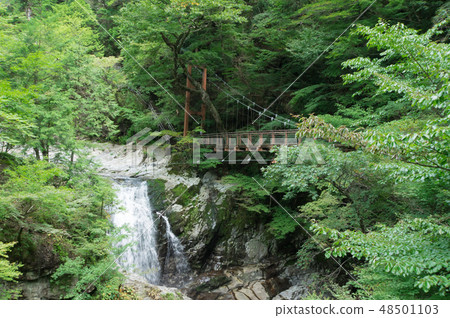 御手洗谷瀑布和吊橋 48501103