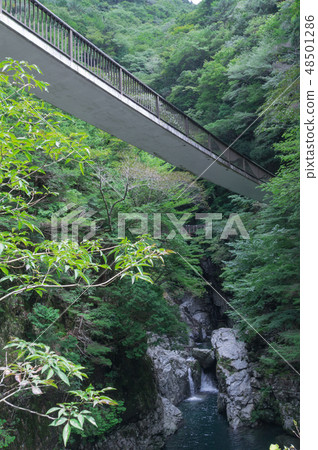 Waterfall and Suspension Bridge of Mitarai Valley Waterfall and Suspension Bridge of Mitarai Valley 48501286