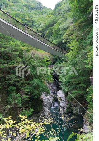 Waterfall and Suspension Bridge of Mitarai Valley Waterfall and Suspension Bridge of Mitarai Valley 48501288