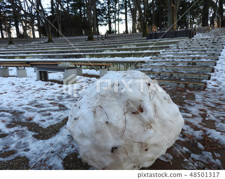 The lower half of a snowman 48501317