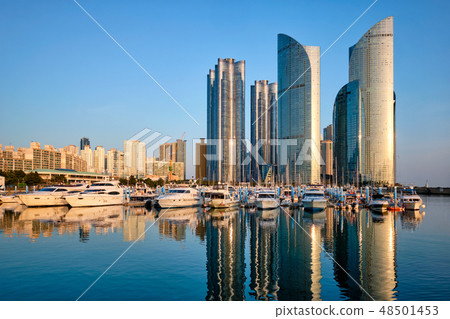 Busan marina with yachts on sunset, South Korea Busan marina with yachts on sunset, South Korea 48501453