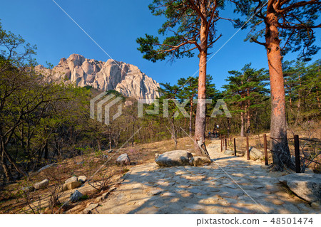Ulsanbawi rock in Seoraksan National Park, South Korea 48501474