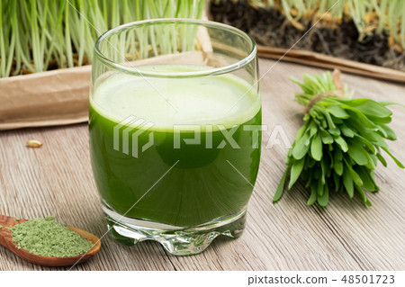 A glass of barley grass juice with young barley A glass of barley grass juice with young barley 48501723