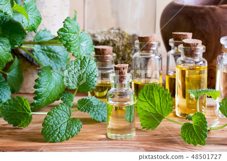 A bottle of melissa essential oil  48501727