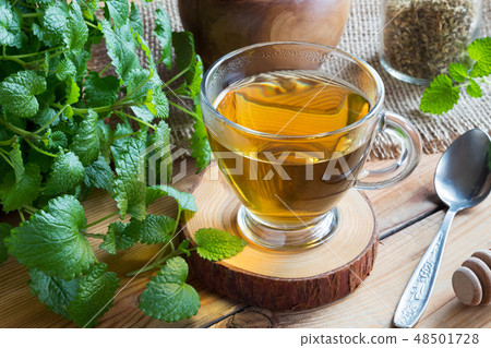 A cup of melissa tea with fresh melissa twigs A cup of melissa tea with fresh melissa twigs 48501728