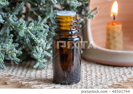 A bottle of santolina essential oil with Santolina 48501744