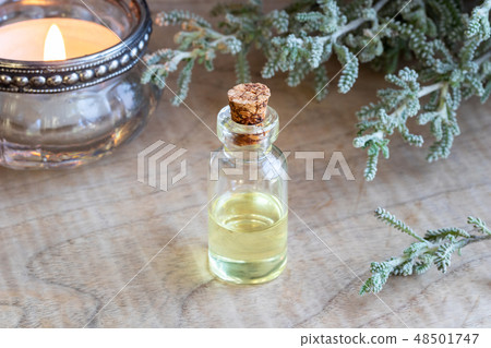 A bottle of santolina essential oil with santolina A bottle of santolina essential oil with santolina 48501747