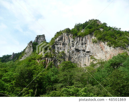 山皮 山皮 48501869