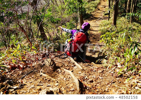 Fall in the mountain path Fall in the mountain path 48502158