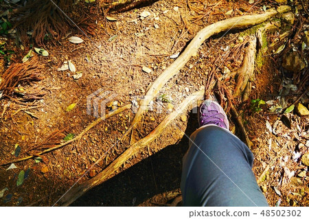 One step in climbing One step in climbing 48502302