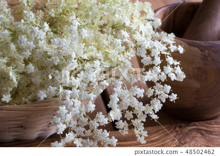 White elder flowers on a wooden background 48502462