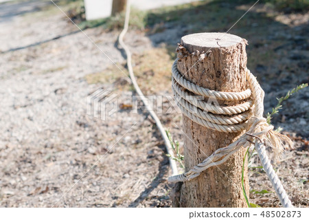 white rope tied to the stump to block the boundary white rope tied to the stump to block the boundary 48502873