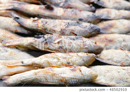 Close up dried grilled fish placed on zinc Close up dried grilled fish placed on zinc 48502910