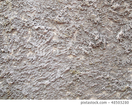 Plaster walls are not smooth and rough  48503280