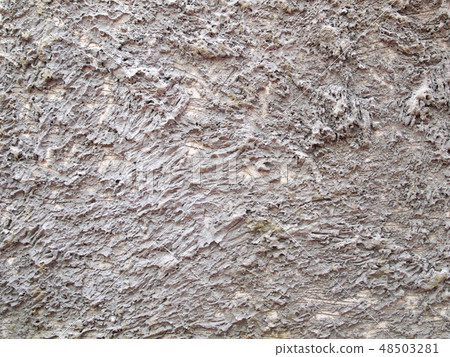 Plaster walls are not smooth and rough 48503281