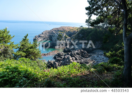 海岸，海岸，沙灘，山東，黃岐海灘， 48503543