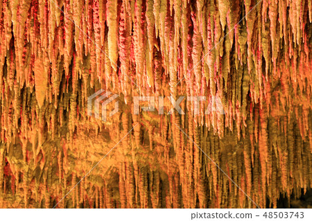 Tamadon-dong 11 Tamadon-dong 11 48503743