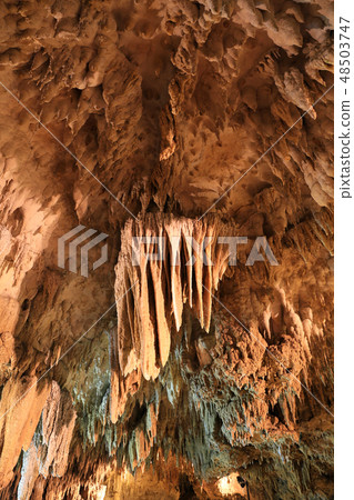 Tamadon-dong 15 Tamadon-dong 15 48503747