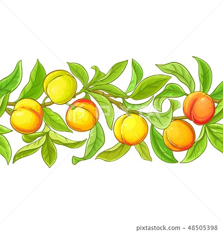 peach vector pattern 48505398
