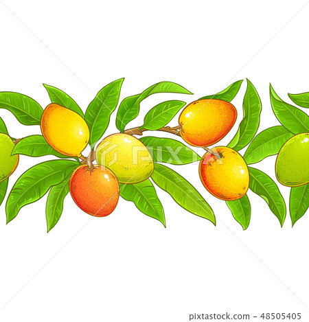 mango vector pattern 48505405