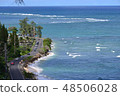 Hawaiian coastline 48506028