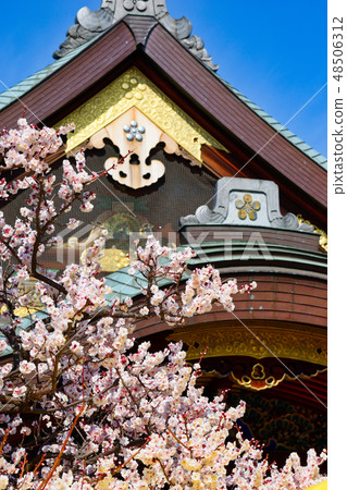 Yushima Tenjin plum (Tokyo) 48506312