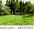 白色托拉戰場的土地Todo Ueshara老戰場遺址會津若松市 48507092