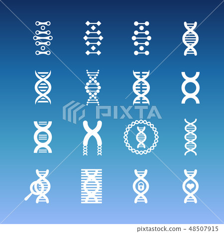 DNA spiral vector icons - medicinal and biology icons set DNA spiral vector icons - medicinal and biology icons set 48507915