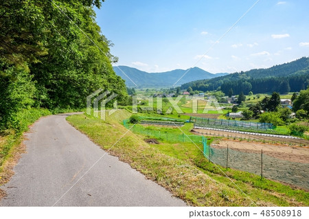 初夏的農村景觀 48508918