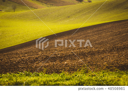 Autumn wavy fields 48508981
