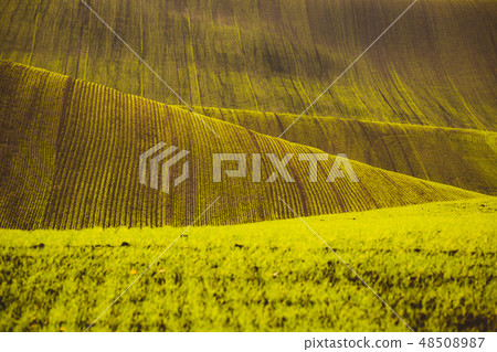 Green waves 48508987