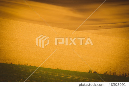 Autumn wavy fields Autumn wavy fields 48508991